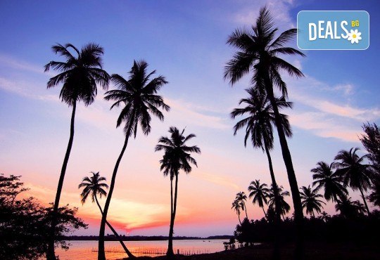 Екскурзия до Шри Ланка с Дари Тур! 7 нощувки със закуски и вечери, самолетен билет, трансфери, посещение на резерват за слонове, Сигирия, Дамбула, Храм Канди и още! - Снимка 2