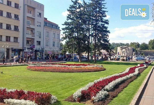 Екскурзия през декември до Пирот, Ниш и Княжевац, Сърбия! 1 нощувка със закуска и 1 вечеря с богато меню и неограничени напитки, транспорт и екскурзовод - Снимка 3