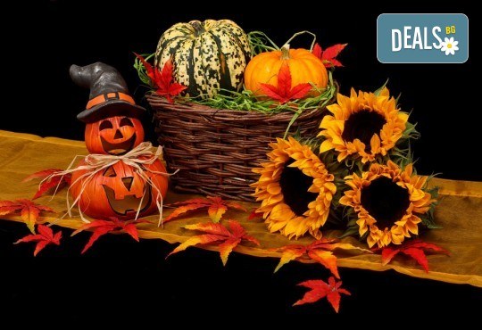 Щуро парти за Хелоуин за до 15 възрастни или деца с аниматор-диджей, музикално оформление, хелоуински аксесоари, костюми под наем и хелоуински късмети! - Снимка 2