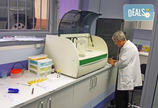 Ехография на коремни органи в ДКЦ Alexandra Health! - Снимка 2