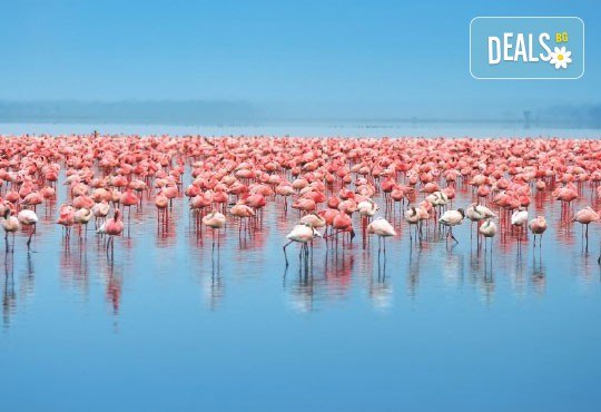 Мини почивка през юни в Паралия Катерини, Гърция! 3 нощувки със закуски в хотел 2*/3*, транспорт, панорамна обиколка на Солун и посещение на езерото Керкини! - Снимка 5