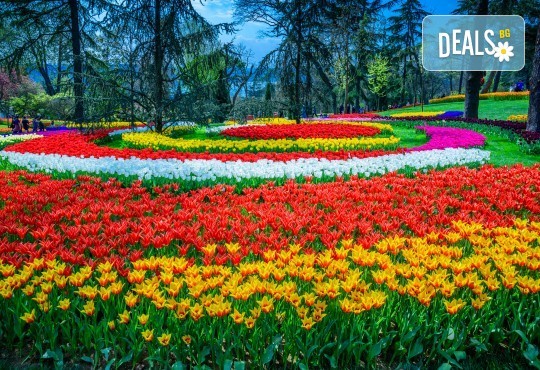 Фестивал на лалето в Истанбул, Турция, с Еко Тур! 2 нощувки със закуски в хотел 3*, транспорт и екскурзовод! - Снимка 2