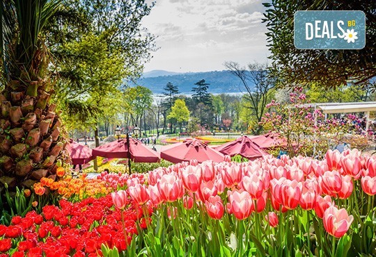 Фестивал на лалето в Истанбул, Турция, с Еко Тур! 2 нощувки със закуски в хотел 3*, транспорт и екскурзовод! - Снимка 3