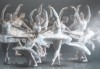 Ексклузивно в Кино Арена! БАЯДЕРКА  - спектакъл на Кралския балет в Лондон с участието на най-добрите солисти, на 26, 29 и 30 декември, в кината в София! - thumb 6