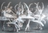 Ексклузивно в Кино Арена! БАЯДЕРКА  - спектакъл на Кралския балет в Лондон с участието на най-добрите солисти, на 26, 29 и 30 декември, в кината в страната - thumb 6