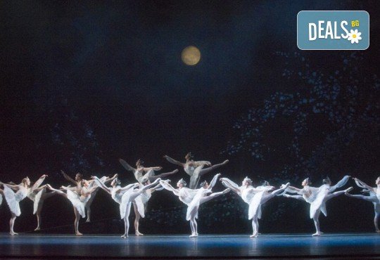 Ексклузивно в Кино Арена! БАЯДЕРКА  - спектакъл на Кралския балет в Лондон с участието на най-добрите солисти, на 26, 29 и 30 декември, в кината в страната - Снимка 7