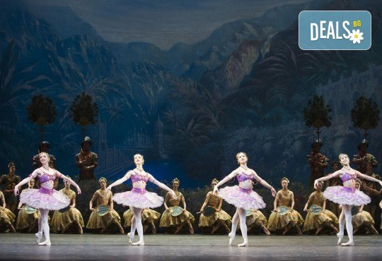 Ексклузивно в Кино Арена! БАЯДЕРКА  - спектакъл на Кралския балет в Лондон с участието на най-добрите солисти, на 26, 29 и 30 декември, в кината в страната - Снимка 2