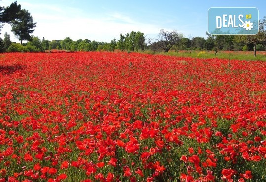Ранни записвания за екскурзия до Барселона, Френска Ривиера и Прованс с Алегра Ви Тур! 10 дни, 8 нощувки, 8 закуски, 3 вечери, транспорт и екскурзовод! - Снимка 4