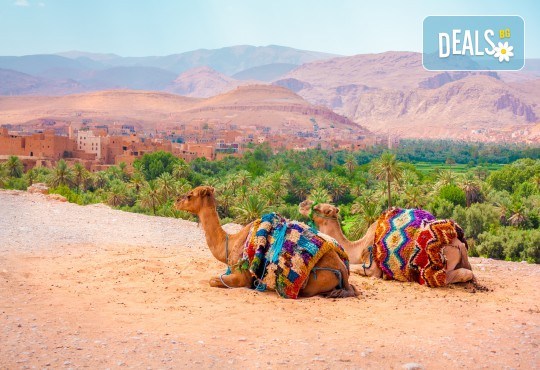 Екскурзия до Мароко през октомври! 6 нощувки, закуски и вечери в Маракеш, Фес и Рабат, билет с летищни такси и трансфери и посещение на Казабланка! - Снимка 6