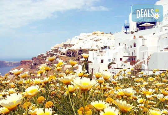 Лятна почивка на гръцката перла - о. Санторини, с България Травъл! 6 нощувки със закуски в хотел 3*, транспорт и посещение на Атина! - Снимка 4