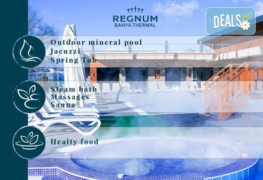 Вход за СПА центъра на Хотел Регнум в с. Баня с ползване на малък открит минерален басейн, открито джакузи с минерална вода и топило на открито с минерална вода, сауна, парна баня, съблекални и шкафчета! - Снимка 10