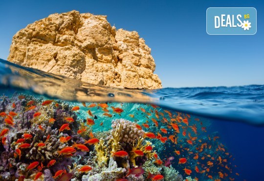 Пролетна екскурзия до Египет! Самолетен билет, летищни такси, трансфери, 4 нощувки All Inclusive в Хургада, 3 нощувки FB на круизен кораб 5* - Снимка 11