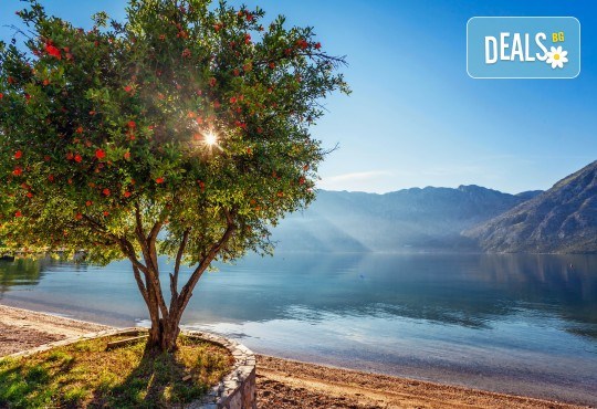 Екскурзия до Будванската ривиера, юни или септември, с Еко Тур! 3 нощувки със закуски и вечери, транспорт и възможност за екскурзии до Котор и Дубровник! - Снимка 7