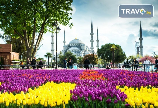 Фестивал на лалето в Истанбул, Турция! 2 нощувки със закуски в хотел 4* с ползване на сауна, турска баня и басейн, транспорт, посещение на Одрин и Чорлу! - Снимка 1