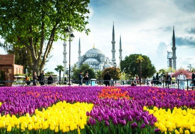 Фестивал на лалето в Истанбул, Турция! 2 нощувки със закуски в хотел 4* с ползване на сауна, турска баня и басейн, транспорт, посещение на Одрин и Чорлу!