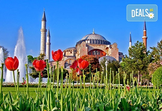 Фестивал на лалето 2019 в Истанбул със Запрянов Травел! 2 нощувки със закуски, транспорт, посещение на МОЛ Истанбул, програма в Одрин - Снимка 3