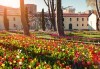 Фестивал на лалето в Истанбул през април с Комфорт травел! 2 нощувки със закуски, транспорт и бонус посещения на Одрин, църквата Свети Стефан и парка Емиргян! - thumb 1