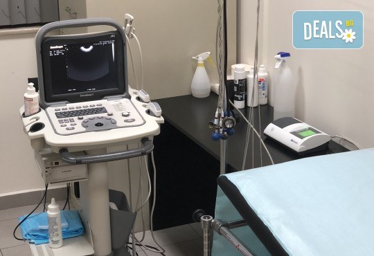 Обстоен преглед от ангиолог – специалист съдови болести, и еходоплер – ехография на кръвоносни съдове, в МЦ Хелт! - Снимка 3
