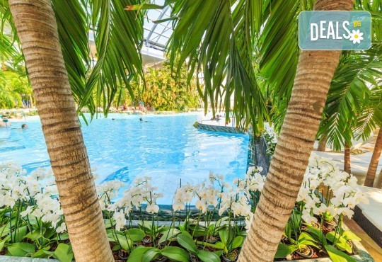 СПА уикенд в Букурещ с Караджъ Турс! 1 нощувка със закуска, транспорт, трансфер до СПА и Уелнес комплекс Therme Bucharest - тропическия рай на Балканите! - Снимка 3