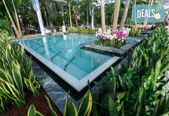 СПА уикенд в Букурещ с Караджъ Турс! 1 нощувка със закуска, транспорт, трансфер до СПА и Уелнес комплекс Therme Bucharest - тропическия рай на Балканите! - Снимка 6