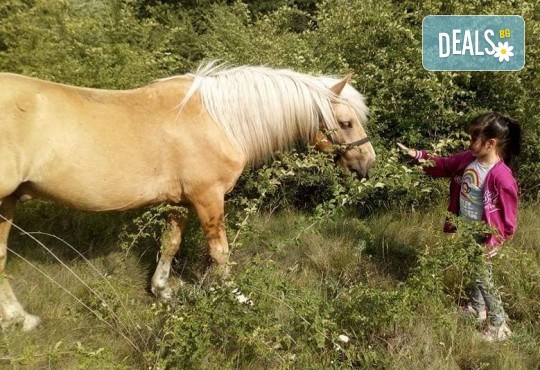 Урок по езда сред природата за двама с инструктор и екипировка от Ранчо Thracian Spirits! - Снимка 3