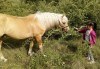 Урок по езда сред природата за двама с инструктор и екипировка от Ранчо Thracian Spirits! - thumb1 3