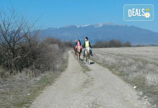 Урок по езда сред природата за двама с инструктор и екипировка от Ранчо Thracian Spirits! - Снимка 8