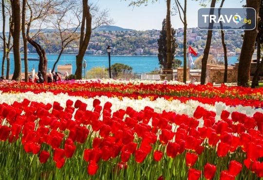 Екскурзия през април до Истанбул за Фестивала на лалето! 3 нощувки със закуски, транспорт и бонус: посещение на Одрин! - Снимка 1