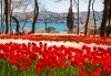 Екскурзия през април до Истанбул за Фестивала на лалето! 3 нощувки със закуски, транспорт и бонус: посещение на Одрин! - thumb 1