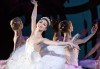 Кино Арена представя впечатляващ балет от сцената на Ковънт Гардън ! „Дон Кихот“, спектакъл на Карлос Акоста, гледайте на 3, 6 и 7 април в кината в София! - thumb 2