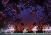 Кино Арена представя блестящ балет от сцената на Ковънт Гардън ! „Дон Кихот“, спектакъл на Карлос Акоста, гледайте на 3, 6 и 7 април в кината в страната - thumb 4