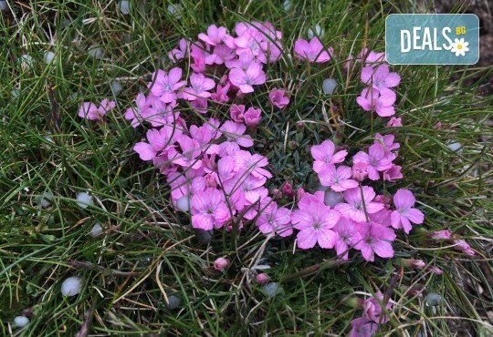 Двудневна екскурзия през юни до Райското пръскало и връх Ботев! 1 нощувка в хижа Рай, транспорт и планински водач! - Снимка 4