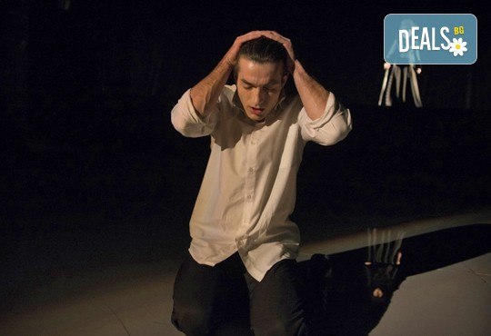 Гледайте Анна Каренина от Л.Н.Толстой, с Йоанна Темелкова в главната роля на 15.06. от 19 ч., в Театър София, билет за един! - Снимка 2