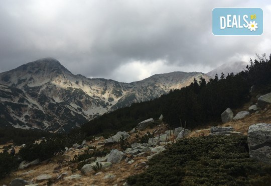Еднодневна екскурзия през юни до връх Тодорка в Пирин с транспорт и планински водач от Еволюшън Травел! - Снимка 4