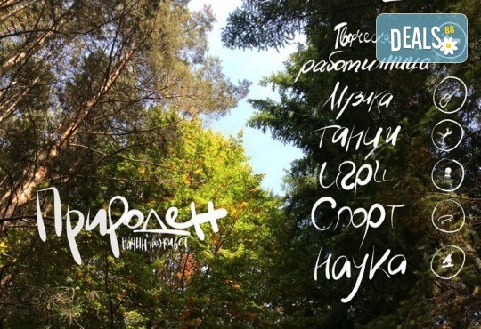 Еднодневен поход за деца в планината! Забавна разходка из Витоша планина за деца от 8 до 16г. от Scoot! - Снимка 1