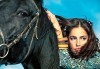 Разходка сред природата! 45-минутен урок по конна езда в конна база „София – Юг”, Драгалевци! - thumb 2