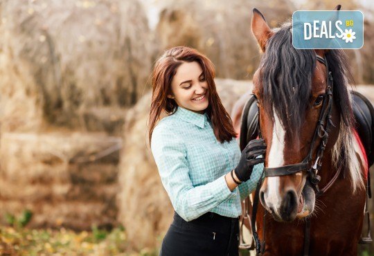 Разходка сред природата! 45-минутен урок по конна езда в конна база „София – Юг”, Драгалевци! - Снимка 1