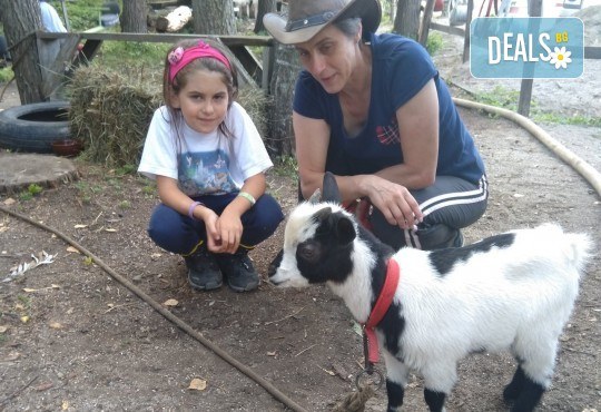 Рожден ден в конна база София - Юг - 3 часа детско парти за до 10 деца с конна езда, стрелба с лък, батут, тролей, викторини, забавни игри и много други забавления! - Снимка 2