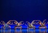 Кино Арена представя Triple Bill (Три съвременни балета) с участието на Наталия Осипова и Вадим Мунтагиров, на 26, 29 и 30 юни в кината в София! - thumb 2