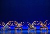 Кино Арена представя Triple Bill (Три съвременни балета) с участието на Наталия Осипова и Вадим Мунтагиров, на 26, 29 и 30 юни в кината в страната - thumb 7