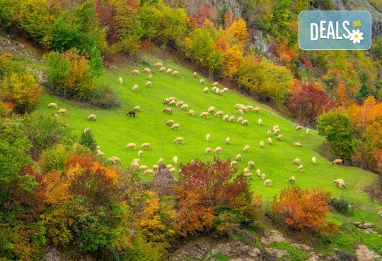 Есен в Родопите, с Дари Травел! Нощувка, закуска и вечеря, хотел 3* в Пампорово, транспорт и посещение на Кръстова гора, Бачковския манастир и пещерата Дяволското гърло - Снимка 1