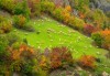 Есен в Родопите, с Дари Травел! Нощувка, закуска и вечеря, хотел 3* в Пампорово, транспорт и посещение на Кръстова гора, Бачковския манастир и пещерата Дяволското гърло - thumb1 1