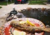 Почивка в Добринище! 1 нощувка със закуска и вечеря в къща за гости Андрееви, отстъпка за ползване на минерален басейн! - thumb 25