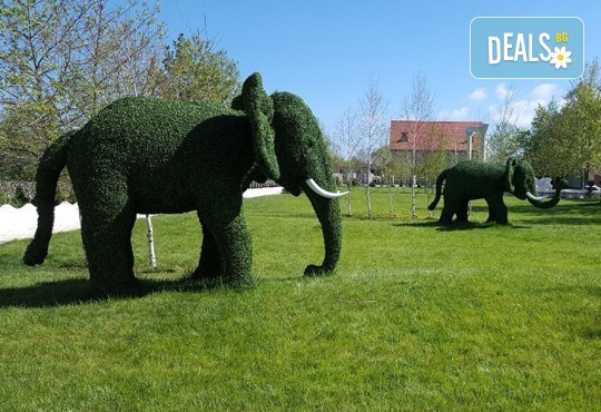 Магическа приказка край Созопол! Вход за замъка в Равадиново и 15 минути езда на расов кон! - Снимка 4