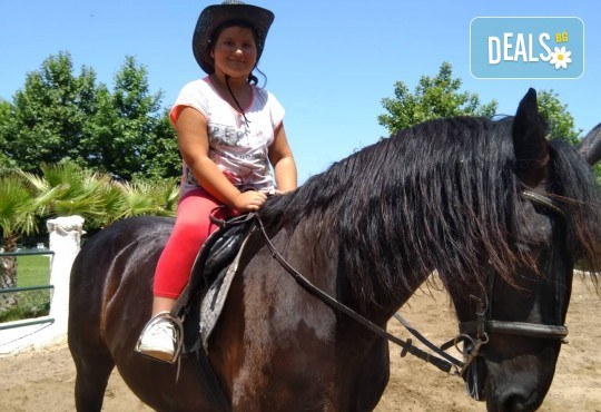 Магическа приказка край Созопол! Вход за замъка в Равадиново и 15 минути езда на расов кон! - Снимка 9