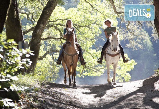 Опитайте нещо ново и интересно! 90-минутен поход - конна езда от конна база „София – Юг”! - Снимка 3