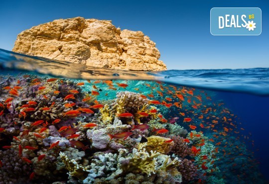 Есенна екзотика в Египет! 3 нощувки на база All Inclusive в хотел 5* в Хургада, 4 нощувки на база FB на круизен кораб 5*, самолетен билет, трансфери и богата програма! - Снимка 2