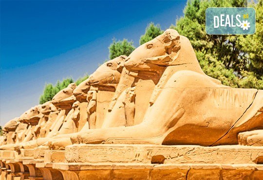Почивка през октомври в Египет! 6 нощувки в Lemon & Soul Garden Makadi 4* на база All Inclusive в Хургада и 1 нощувка със закуска в Barcelo Cairo Pyramids 4* в Кайро, самолетен билет и водач - Снимка 6