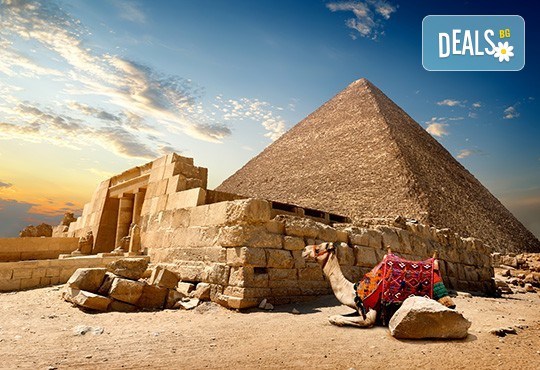 Посетете Египет през октомври! 6 нощувки в AMC Royal Hotel & Spa 5* на база All Inclusive в Хургада и 1 нощувка със закуска в Barcelo Cairo Pyramids 4* в Кайро, самолетен билет и трансфери - Снимка 2