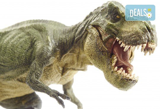 Разходка в замъка в Равадиново и фантастично динозавърско шоу за дете от 7 до 16 години и възрастен! - Снимка 1